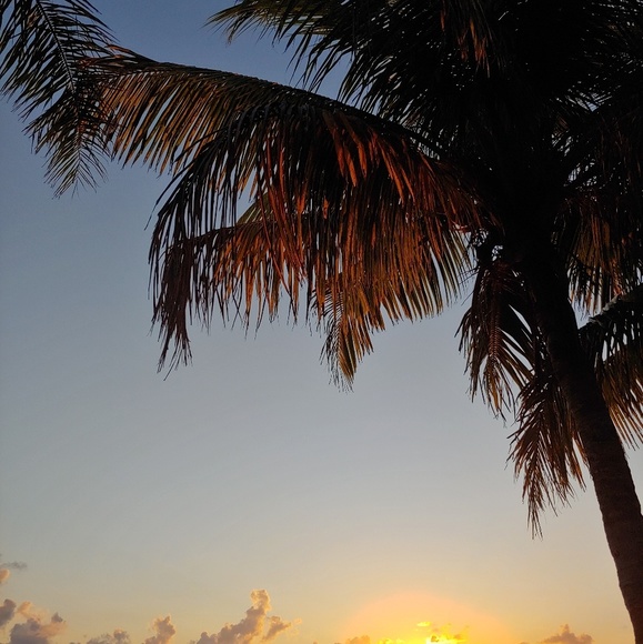 Meet your Posher, Ash - Picture 1 of 1